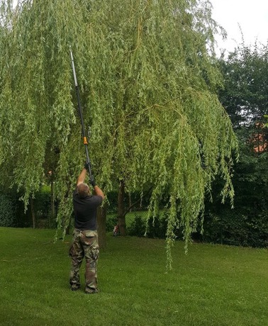 Pielęgnacja zieleni