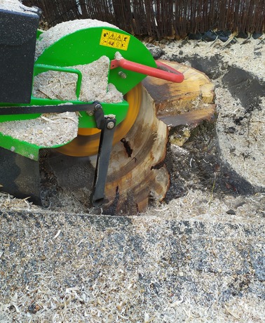 Frezowanie pni-karpin